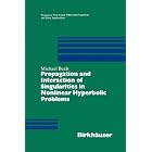 Propagation and Interaction of Singularities in Nonlinear Hyperbolic Problems by Michael Beals