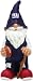New York Giants 2008 Team Gnome
