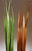 Oceana Palm 46 Tall by 2 Wide, Package of 12 Stalks