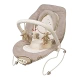 Summer Infant Bouncer with Remote
