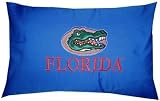 Florida Gators 14 x 20 Travel Pillow - NCAA College