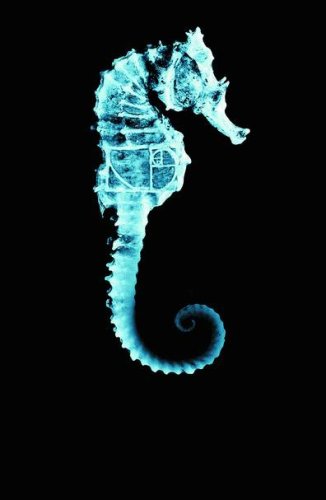 Fringe #4 of 6 (Fringe, #4 of 6)