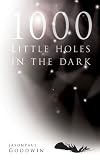 1000 Little Holes in the Dark