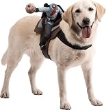 Headless Horseman Pet Costume