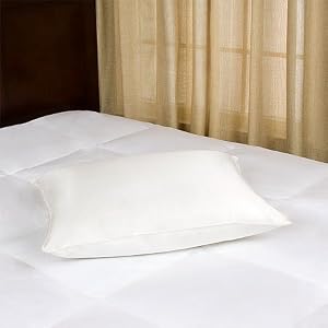 Joseph Abboud 460TC Luxury European Down Pillow, Queen by 