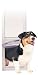 Petsafe