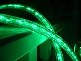 50Ft Rope Lights; 3Wires Emerald Green Chasing LED Rope Light Kit; Christmas Lighting; outdoor rope lighting