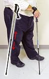 Telescopic Walking Stick