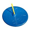 Swing-N-Slide Shooting Star Disc Swing