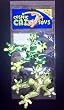 COSMIC SILKY FATTY FROG 2PK