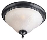 Black and Ice 13 Wide Ceiling Light Fixture
