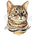 Bengal Cat Adult Sweatshirt
