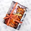Gorgeous Ginger Pussycat 'Marmadale'