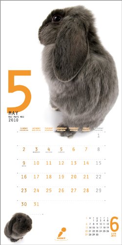 RABBIT 2010年 カレンダー
