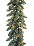 9' x 10 Just Cut Green Frasier Fir Pre-Lit Artificial Branch Garland - Multi