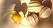 Andenbeere / Kapstachelbeere / Goldenberry (Saatgut, Samen)