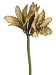 27 Vintage Romance Hybrid Lily Spray Green Mauve (Pack of 12)