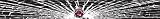Toronto Raptors Shattered Auto Visor Decal