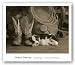Cowboy Puppy by Robert Dawson 24"x18" Art Print Poster