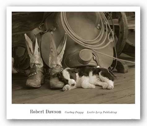 Cowboy Puppy by Robert Dawson 24"x18" Art Print Poster