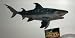 Tiger Shark - Stretchable Life-Like Replica toy figure (approx 11" nose to tail)_s-1
