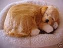 Sleeping Dog Pet Nap - Tan Lab [Misc.]