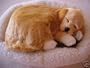 Pet Nap Sleeping Golden Labrador Retriever Puppy