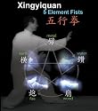 Xingyi Quan 5 Element Fists Xing Yi Hsing-i