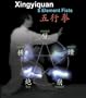 Xingyi Quan 5 Element Fists Xing Yi Hsing-i