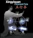 Xingyi Quan 5 Element Fists Xing Yi Hsing-i