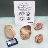 Comparative Mammalian Dissection Kit