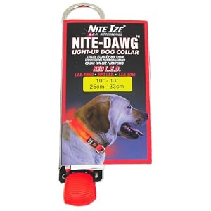 LED Nylon Night Safety Dog Collar by Nite Ize
