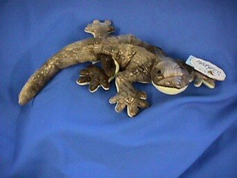 41DjWZSjuqL Scaly Lizard 12 Plush Stuffed Animal Toy