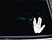 Live Long and Prosper - 3 3/4