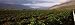Vineyard with Mountain Range, Hex River Valley, South Africa Photographic Poster Print by Panoramic Images, 24x8