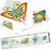 Design Your Own Kite Kit
