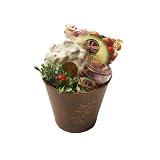 Urban Processing Gourmet Cranberry Snack Gift Pack