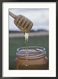 Honey Dripping from Wooden Spoon Into Jar Movies Framed Photographic Poster Print, 21x29