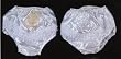 Baptism Bloomer with Gold or Silver Lettering, in Spanish