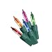 Twinkle Net Lights - Multi - 150 count - Green Wire (4x6')