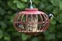 Nuttery Squirrel Proof Lantern Bird Feeder For Seed