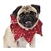 Aria Red Shimmer Scrunchy Collar