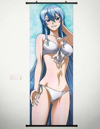 Cute Art Home Decor Anime Akame ga Kill Wall Scroll Poster Esdeath 17.7 x 49.2 inches -004