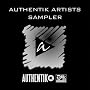 Authentik Artists Sampler 2010