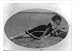 Historic Print (L): A beautiful camera fiend tempter