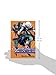 Air Gear 28