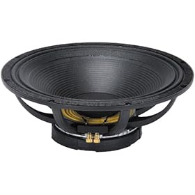 speaker peavey black widow 18
