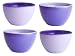 Kitchen & Housewares : Zak Designs Tonal Purples 4-Piece Mini Bowl Set