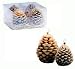 Biedermann & Sons Four Winter Lodge Pinecone Candles