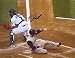 Kenji Johjima Signed Seattle Mariners 8x10 Photo